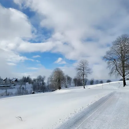 Alpensicht Schopfheim