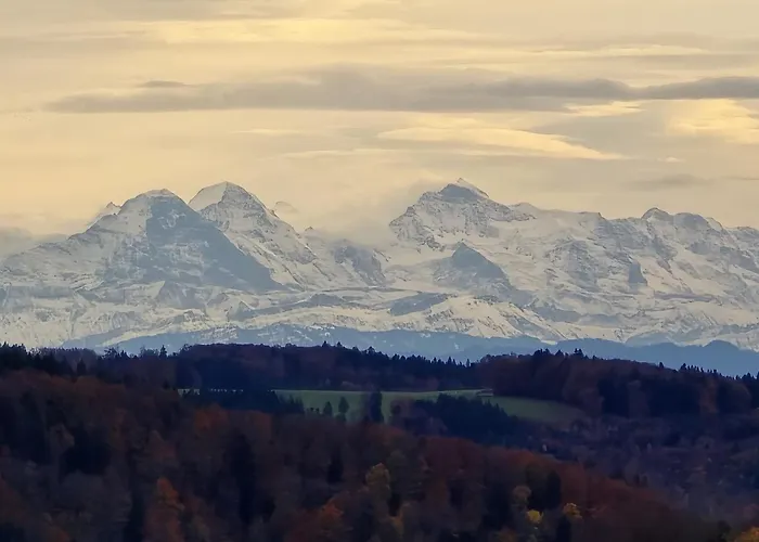 Alpensicht Appartamento *