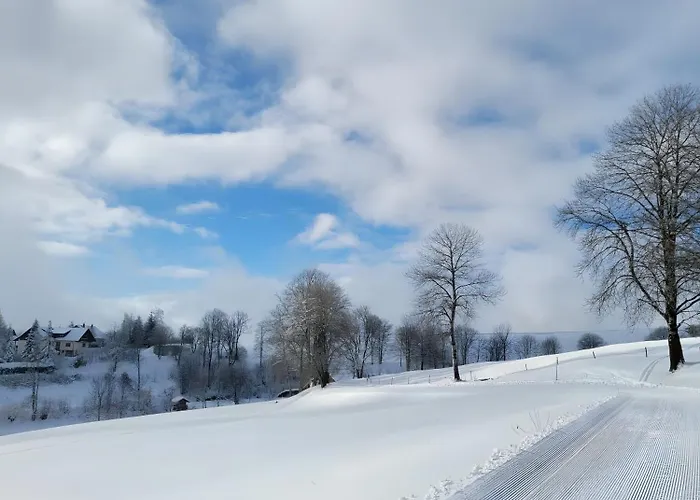 Alpensicht * Schopfheim